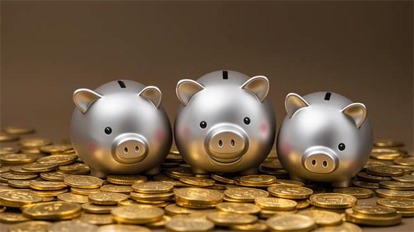 众信行金融怎么样？深度解析理财优势与用户口碑